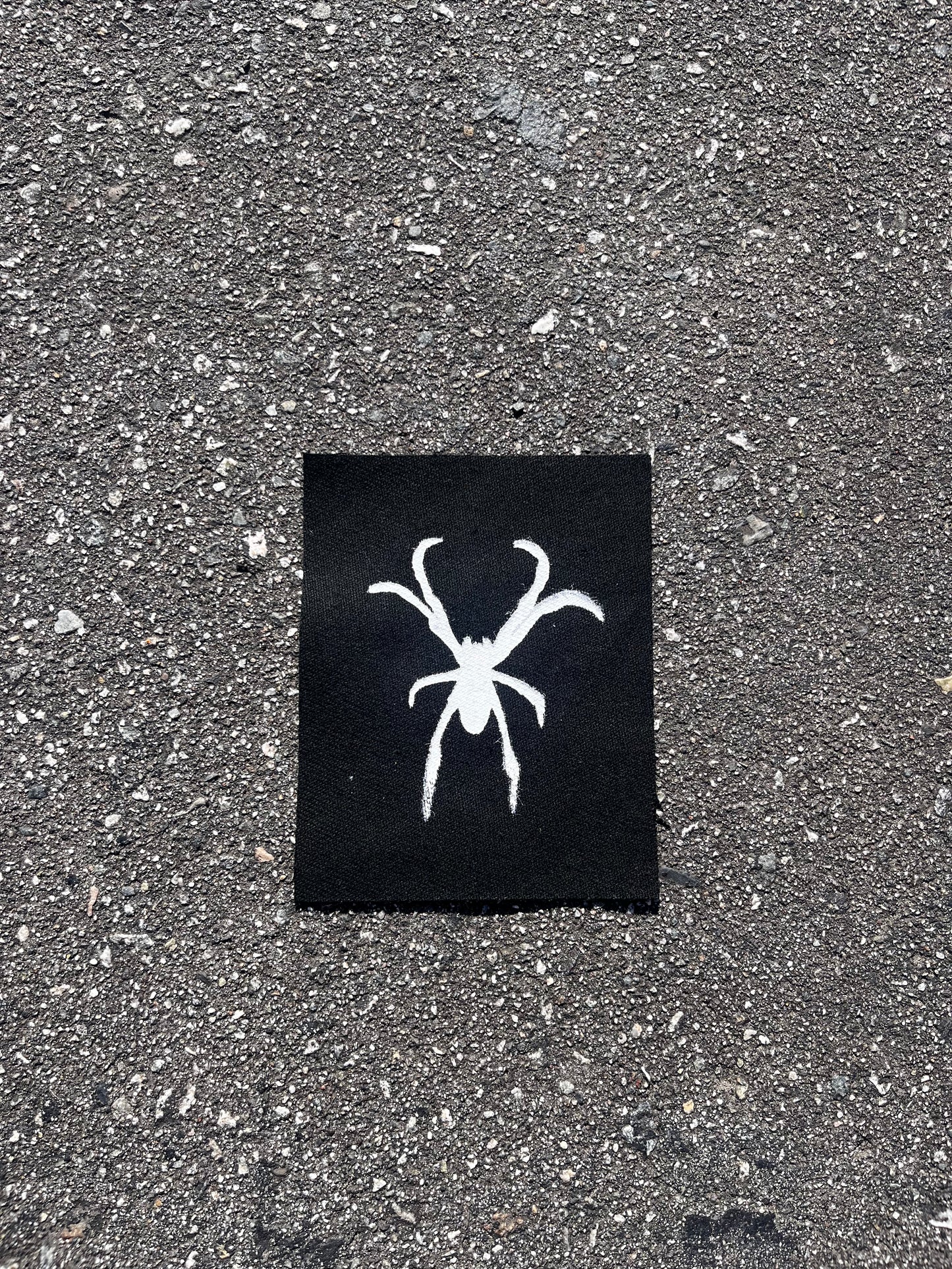 orb weaver spider screenprinted patch